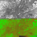 Vegetation Index-NYC-SLAVI-TM5.PNG