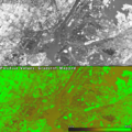 Vegetation Index-NYC-MSAVI2.PNG