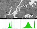 NYC-PCA-C1.PNG