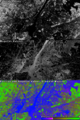 Vegetation Index-NYC-NDVI.PNG