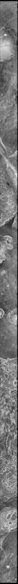 File:dispa.jpg