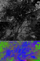 Vegetation Index-NYC-NBR.PNG